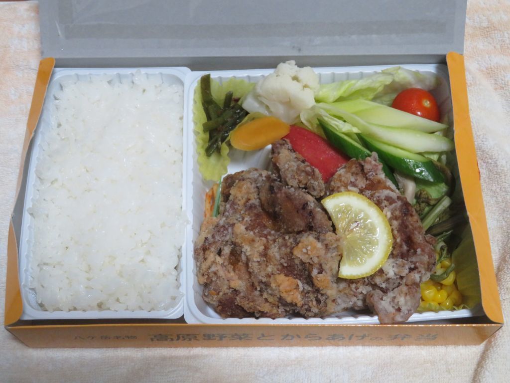 小淵沢駅 中央本線 高原野菜とからあげの弁当 スタジアムの中心に ﾟdﾟ ｳﾏｰ と叫ぶブログ